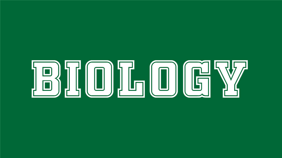 Biology Art Board 